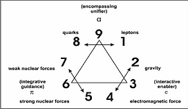 Incorporating the strong and weak nuclear forces to complete the three pairs of elementary building blocks of matter/energy