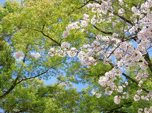 2023年度の超音波検査士認定試験の実施要項が発表されました!