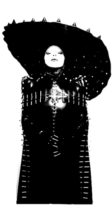 IMG_3520 (1).PNG