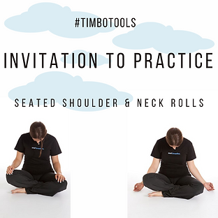 #TIMBoTOOLS(2).png