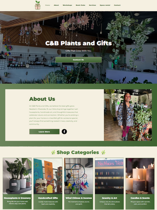Paglia studios website example