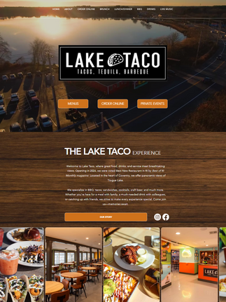Paglia studios website example