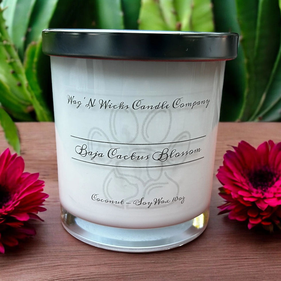 Baja Cactus Blossom Coconut-Soy Candle 2-Wick 10oz