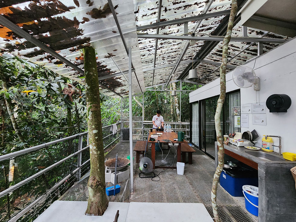 Gibbon Retreat 树屋的户外厨房,再次唤醒到访者感官体验 。(摄影: 蔡昔恩)