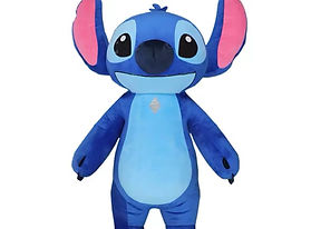 STICH