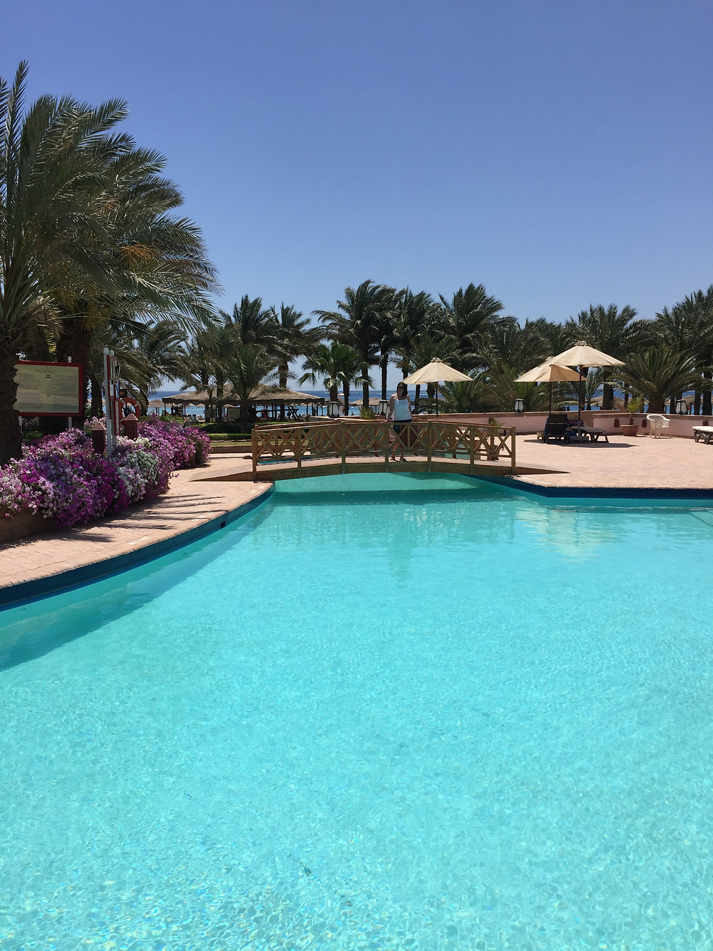 #fortarabesque #pool #swimming #grounds #holidays #Hurghada #Makadibay #Egypt