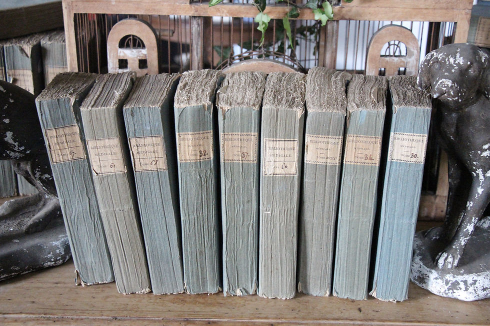 LIVRES BROCHÉS BLEUS