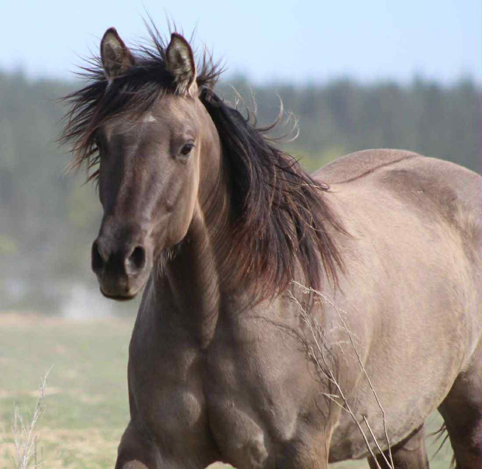 23f96910-3950-462c-a0fa-1f267c0293d8