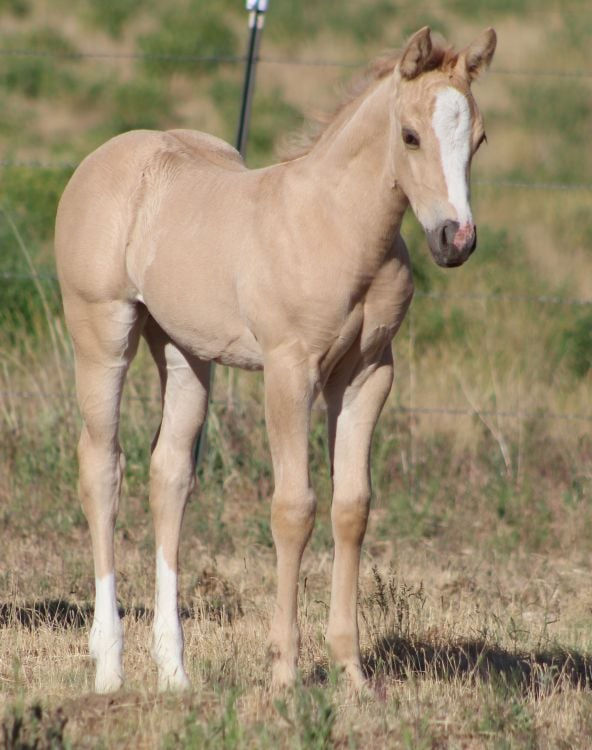 201201185_10219879538882729_1272255714572679634_n