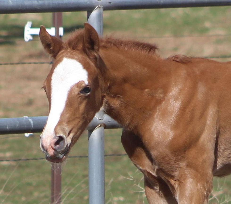 516188975_10230073971097163_3851800768167732942_n