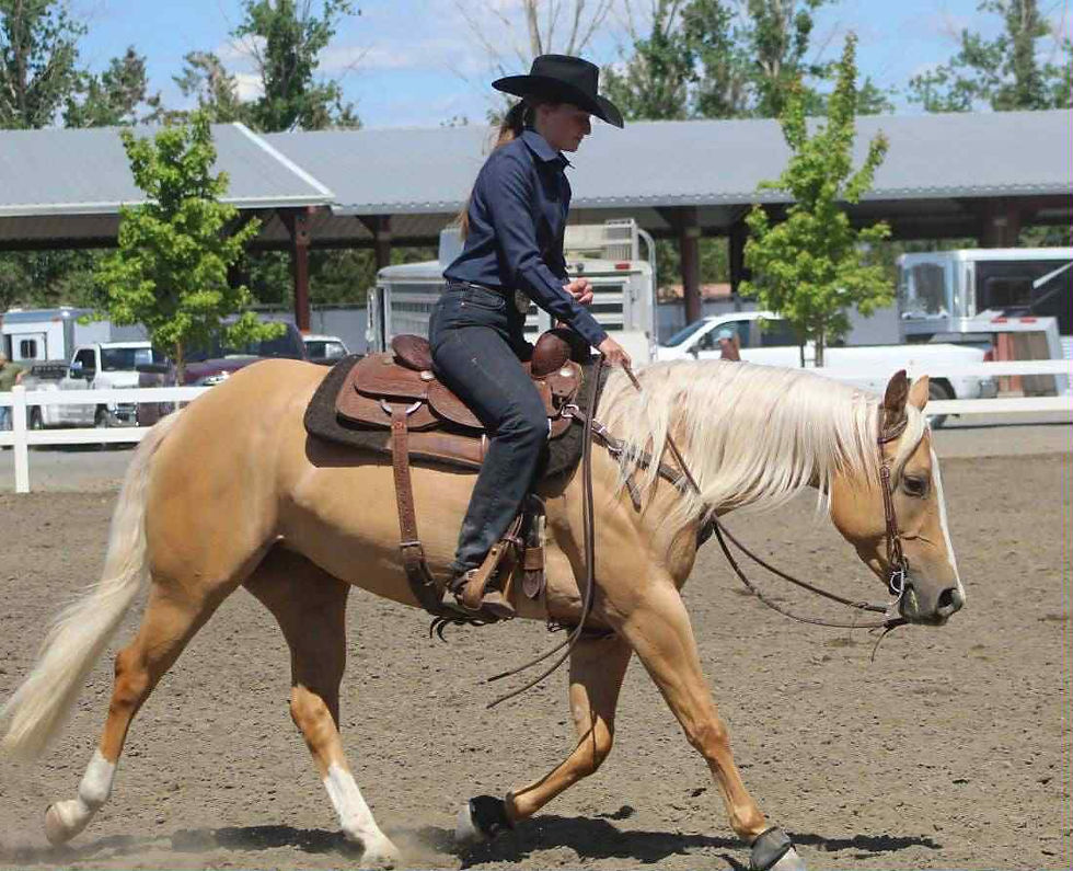 351aa87b-13c7-41d4-ad13-660617e94191