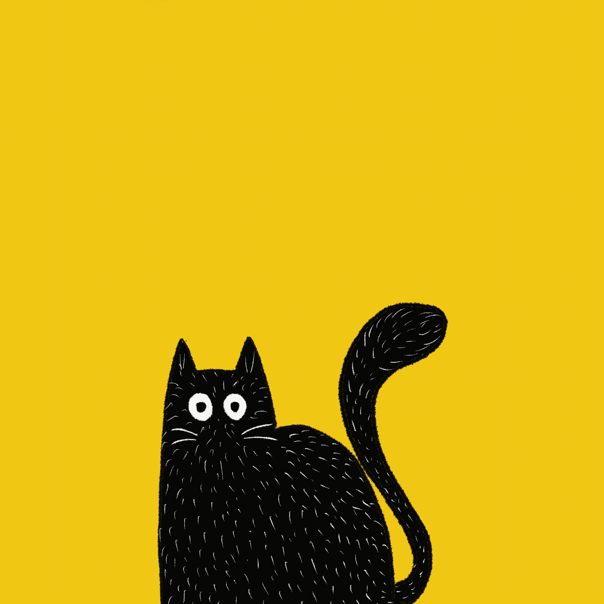 Untitled_Artwork.GIF