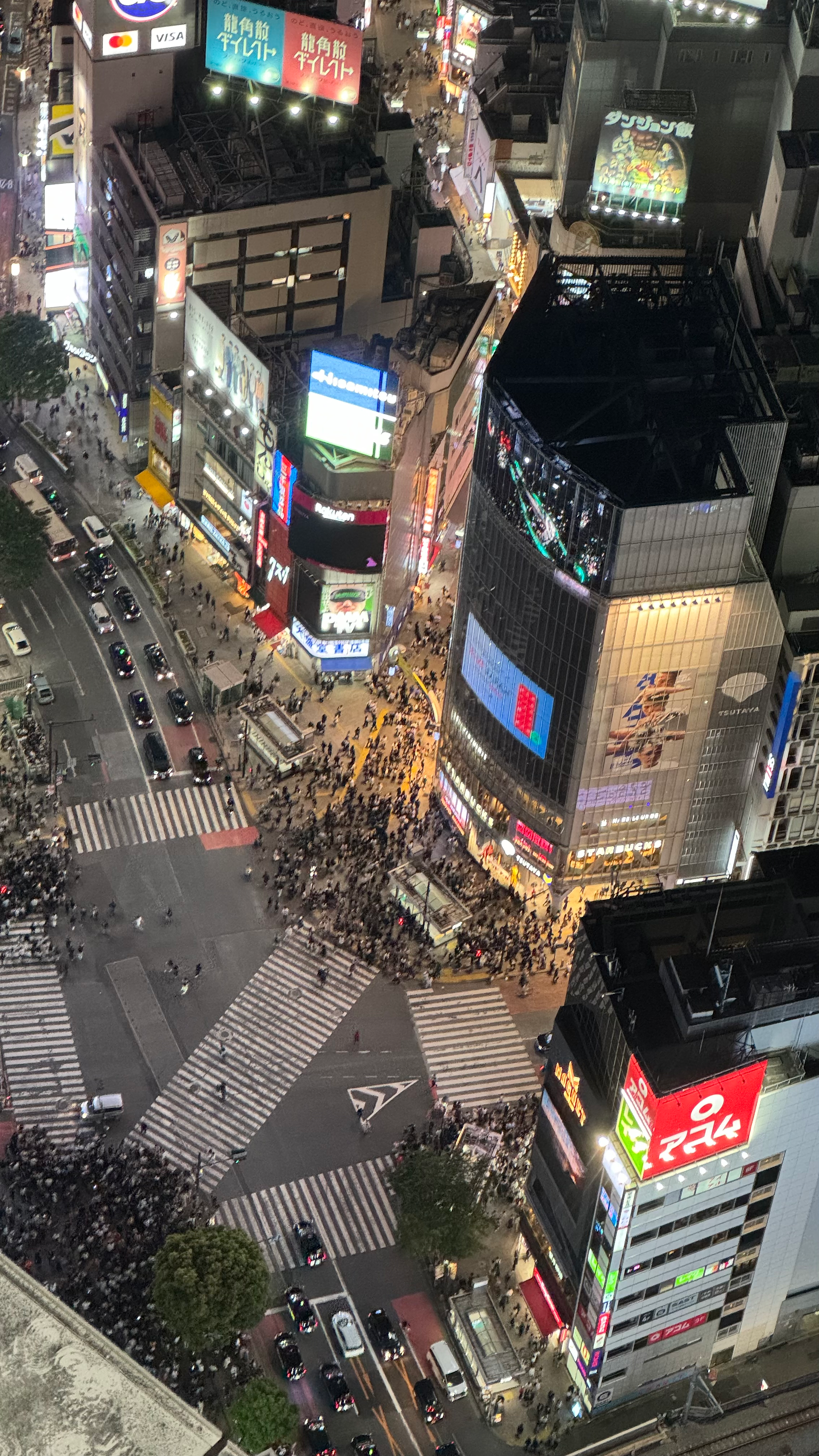 crowded crosswalk of tokyo from high building point of view