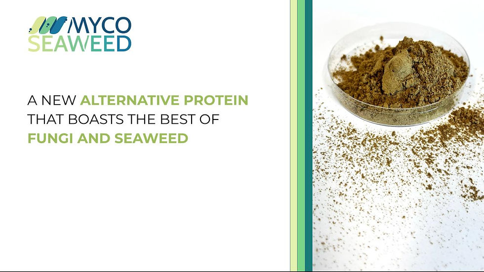 https://www.mycoseaweed.com