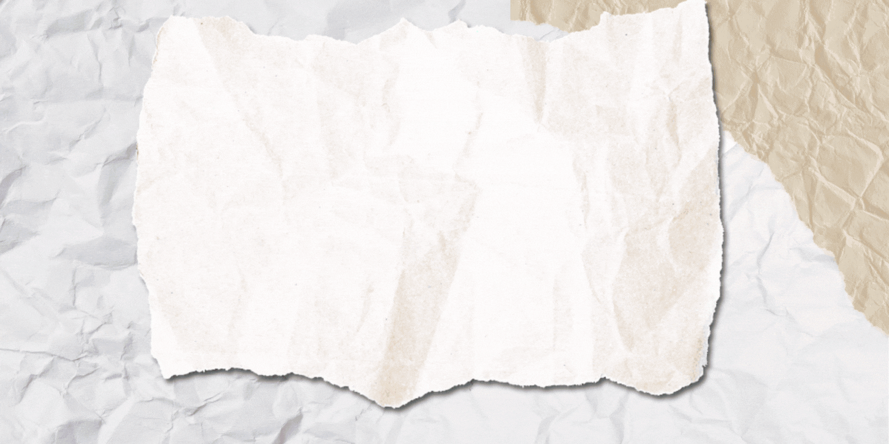 Copy of Yellow Minimalist Pet Shop Site Banner.gif