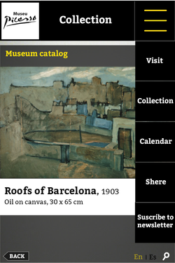 Iphone version_picasso4