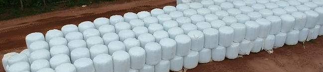 Pré Secado Feno São Mateus