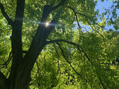 Be still and shine: Lesson from Tim 