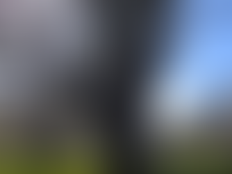 Cure for loneliness and isolation: Lesson from Tim