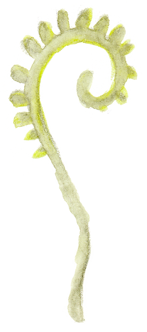 BONUS (2).png