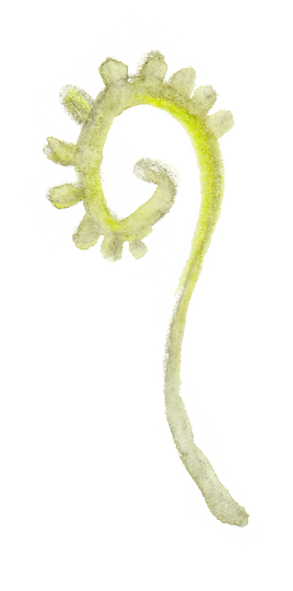 BONUS (1).png