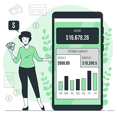 Finance app-bro.png