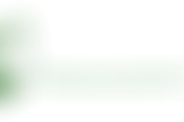 Monthly Newsletters