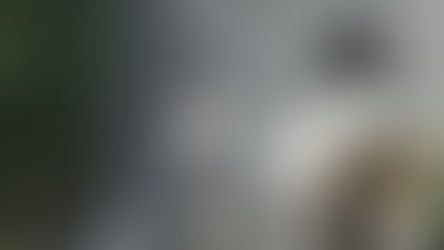 Yucatan Abandoned Hacienda (2020)