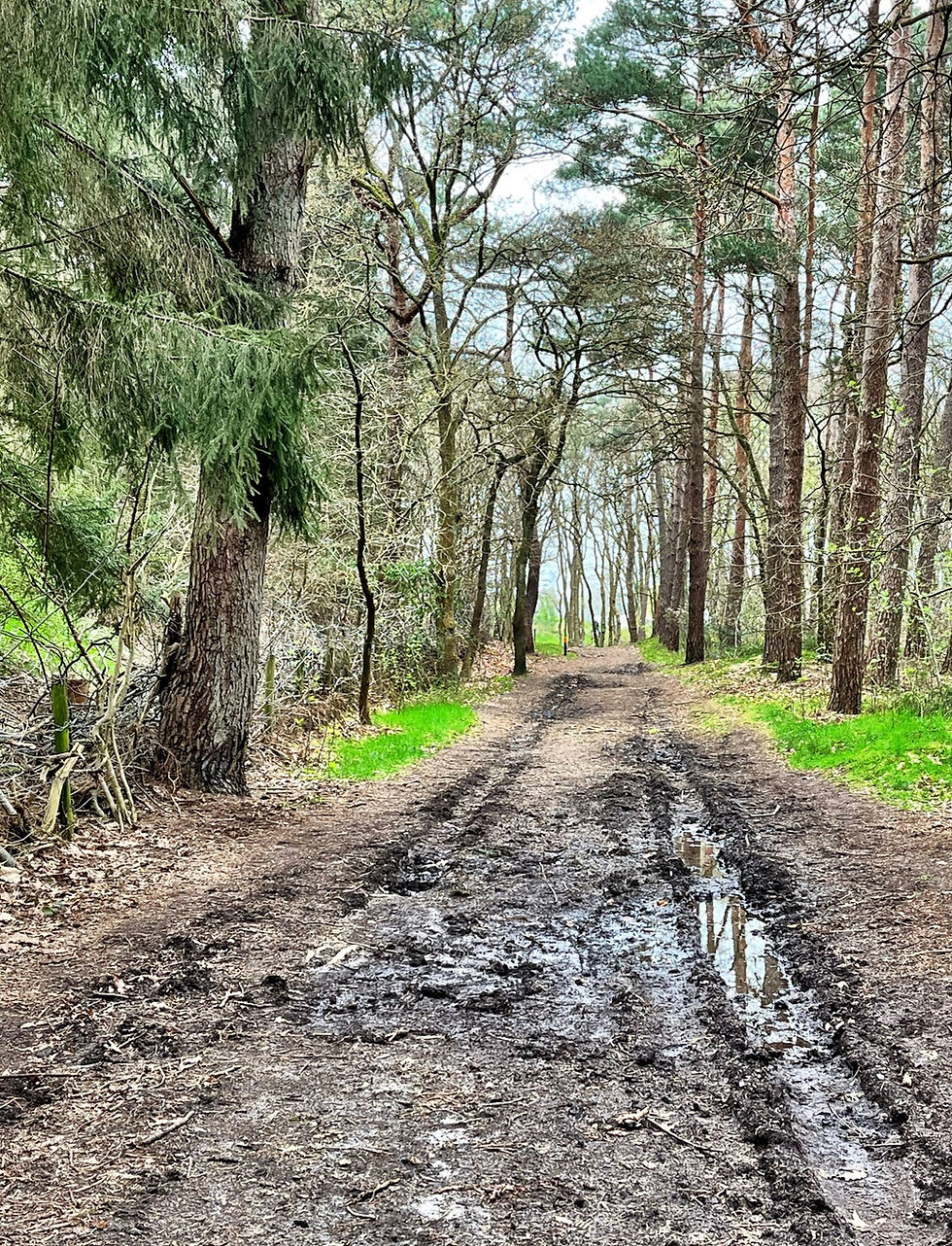 Wandelen Coach
