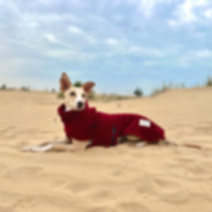 Sangria Dog Towel