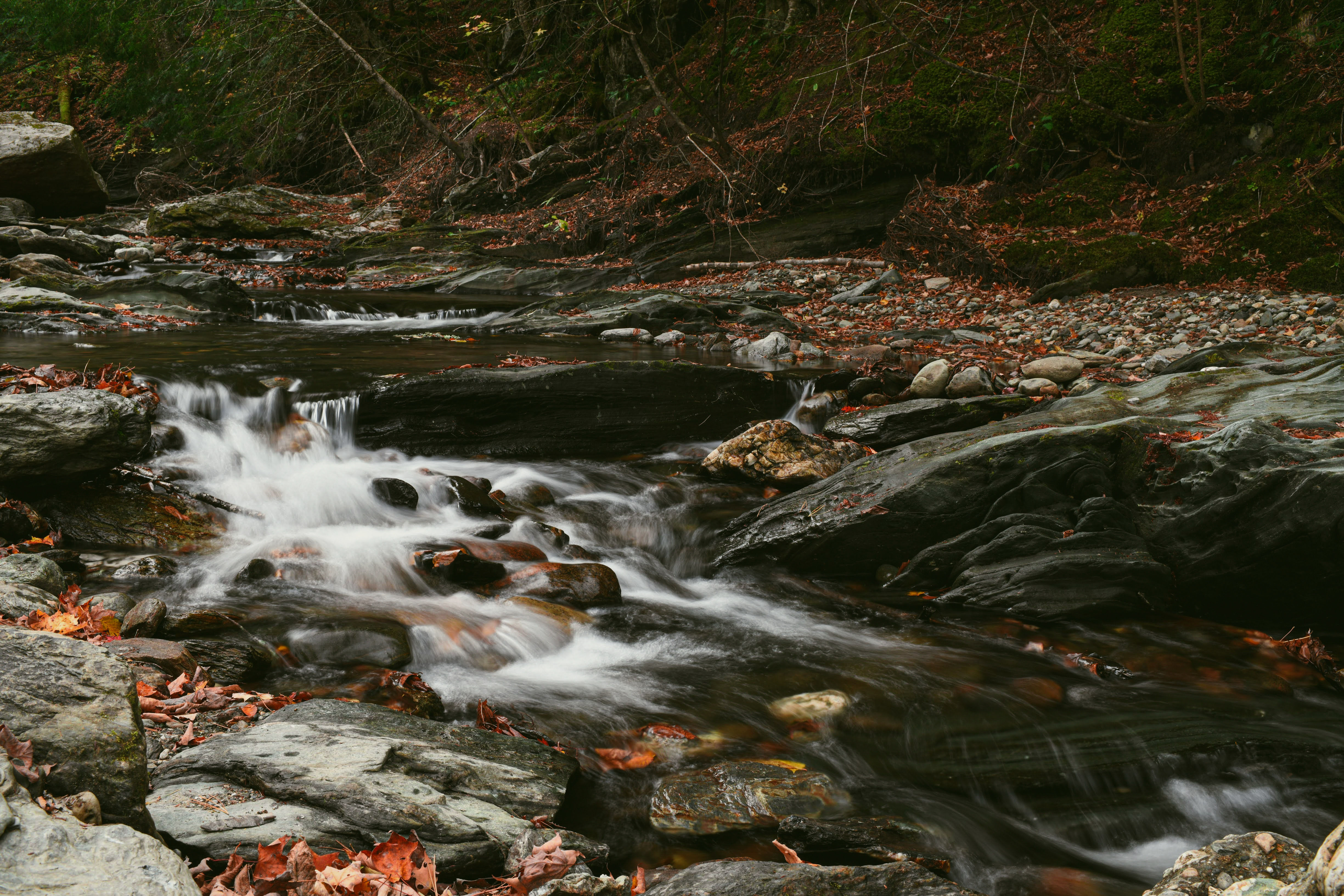Autumn Creeks (matted print)