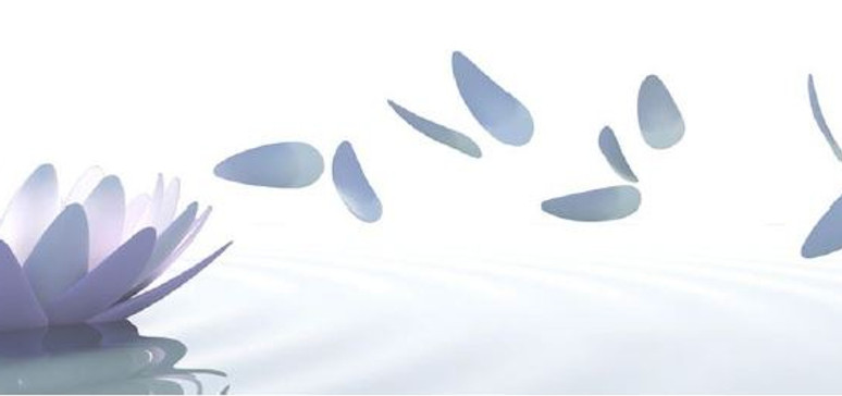 energy header_edited.jpg