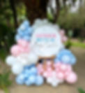 gender reveal