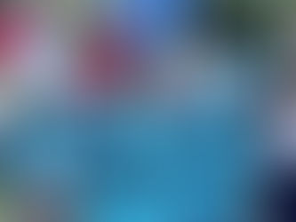 Fora Banqueiros do Orçamento! Dinheiro do Povo é para Ser Usado a Favor do Povo!