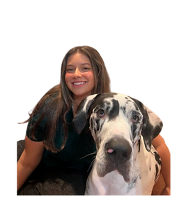 Veterinary Assistant