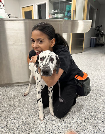 vet tech and dalmation.jpeg