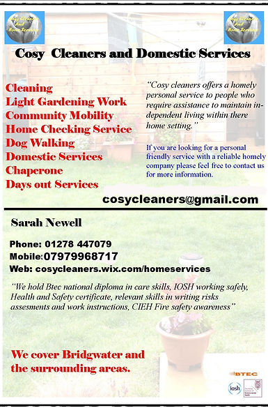 cleaner, home help, domestic, bridgwater