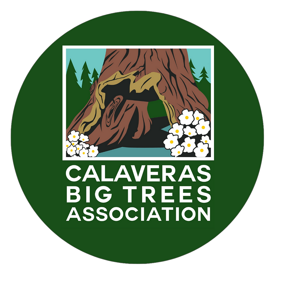 Calaveras Big Tress Association