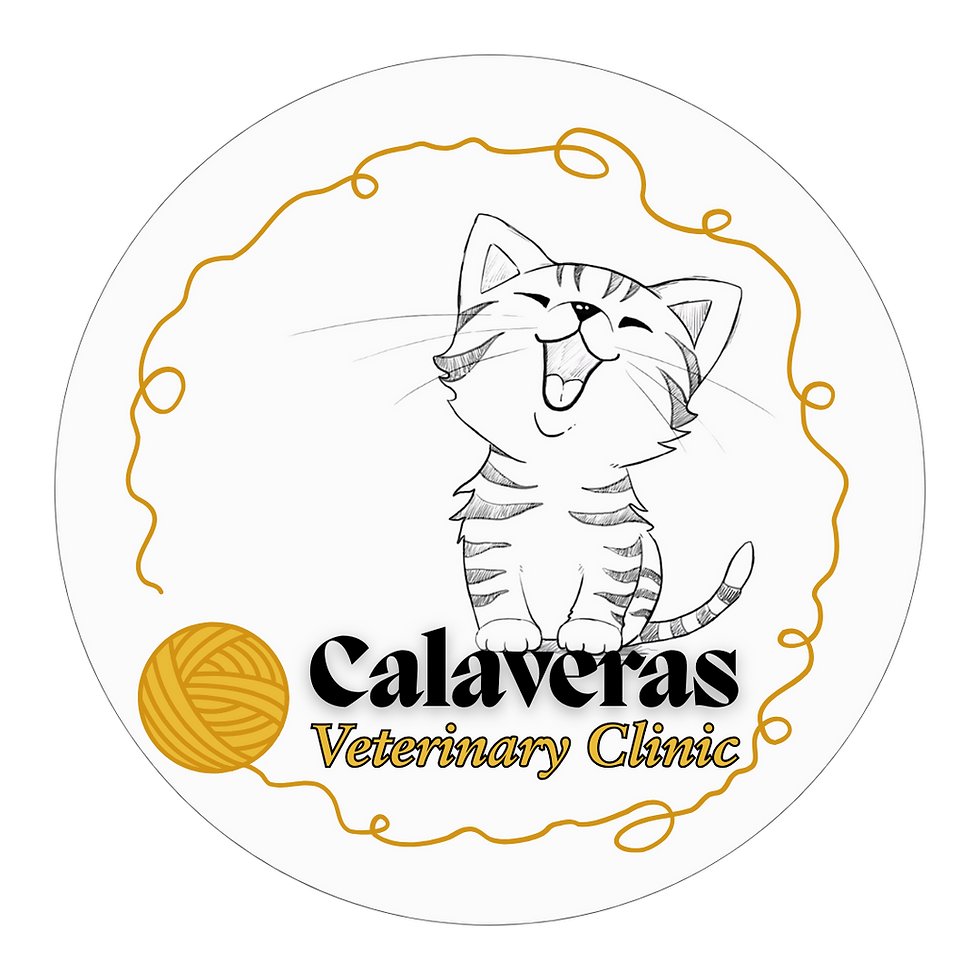 Calaveras Vetinary Clinic