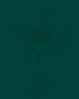 Green Background Flower.jpeg