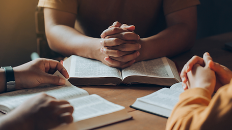 Hotels Business Website (7).png