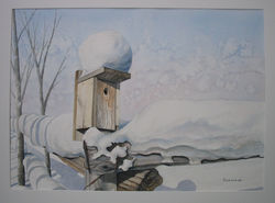 Bird+Box+in+Winter