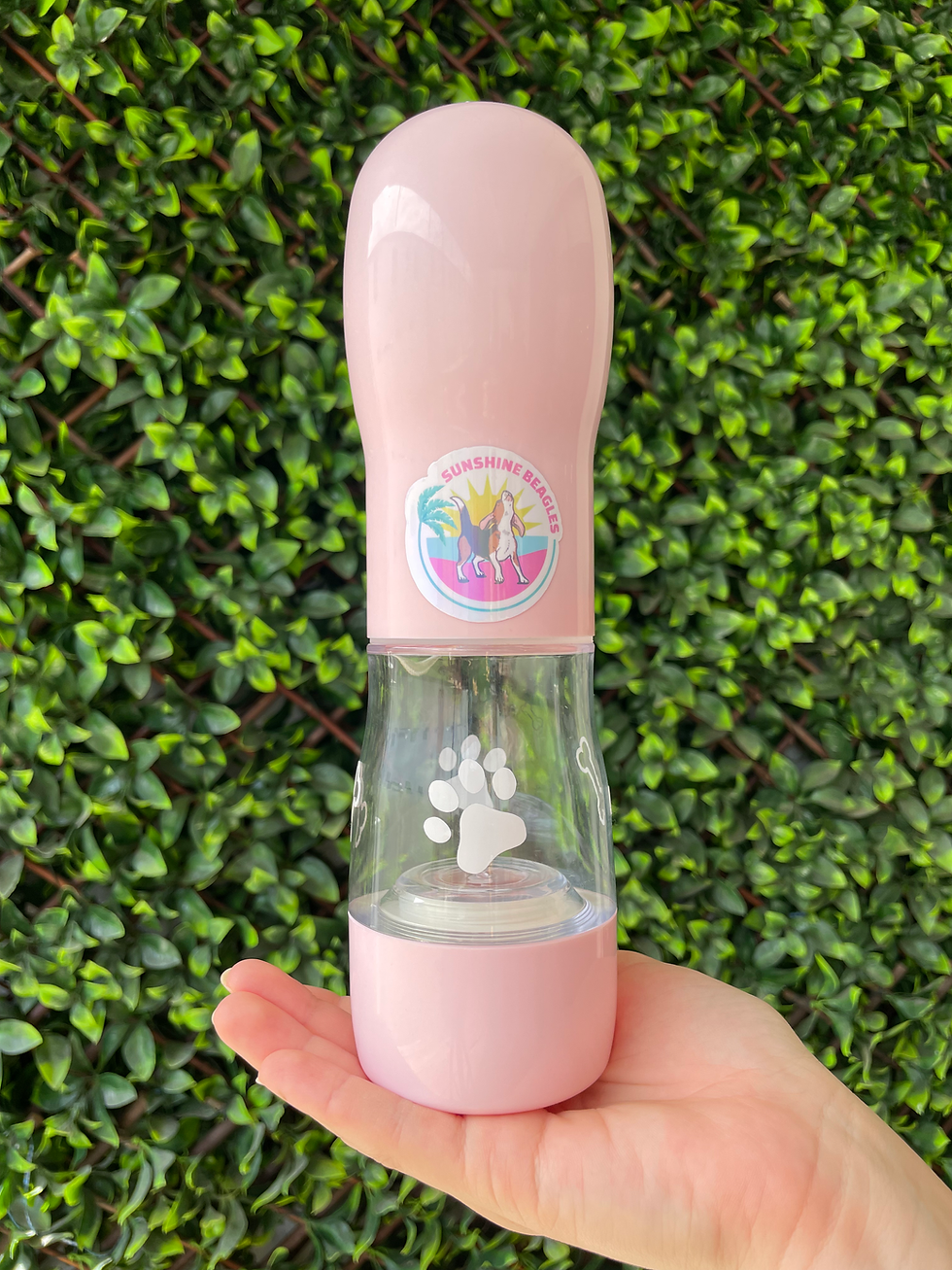 Thumbnail: Beagle Bottle