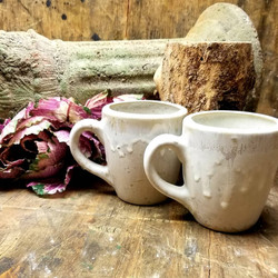 sandbar coffee mugs