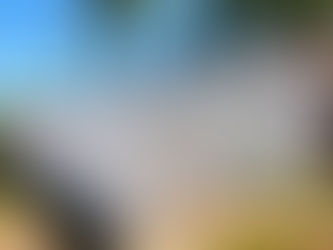 The Chameleon Fence: Unlock Limitless Style with Vinyl