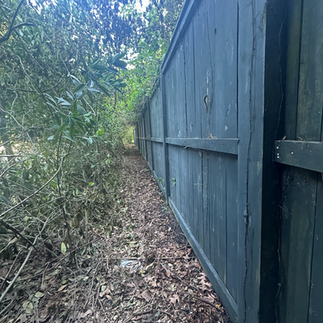 pressure washing fences Charleston SC