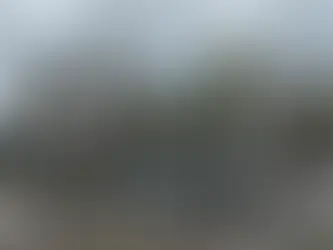 How is it possible that you and I haven't talked about this? Hurricane-Ready Fencing: Protecting Your Coastal Investment in Charleston