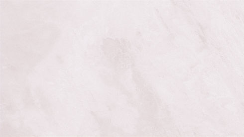 White Background_edited.jpg