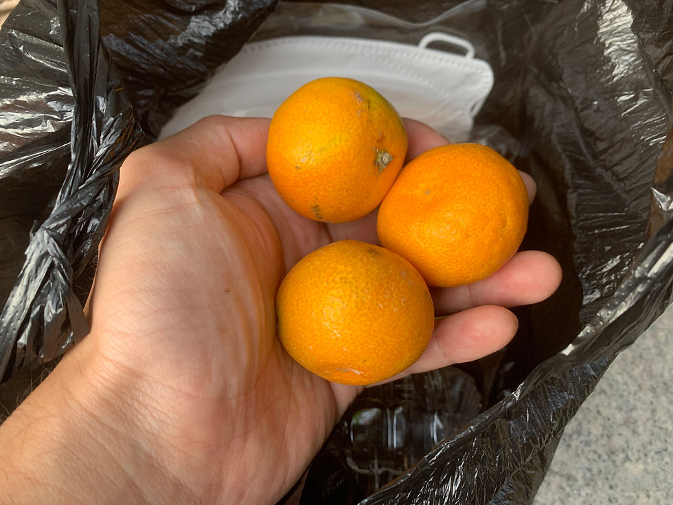 ree