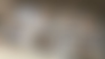 11월의 첫째주 급식후기